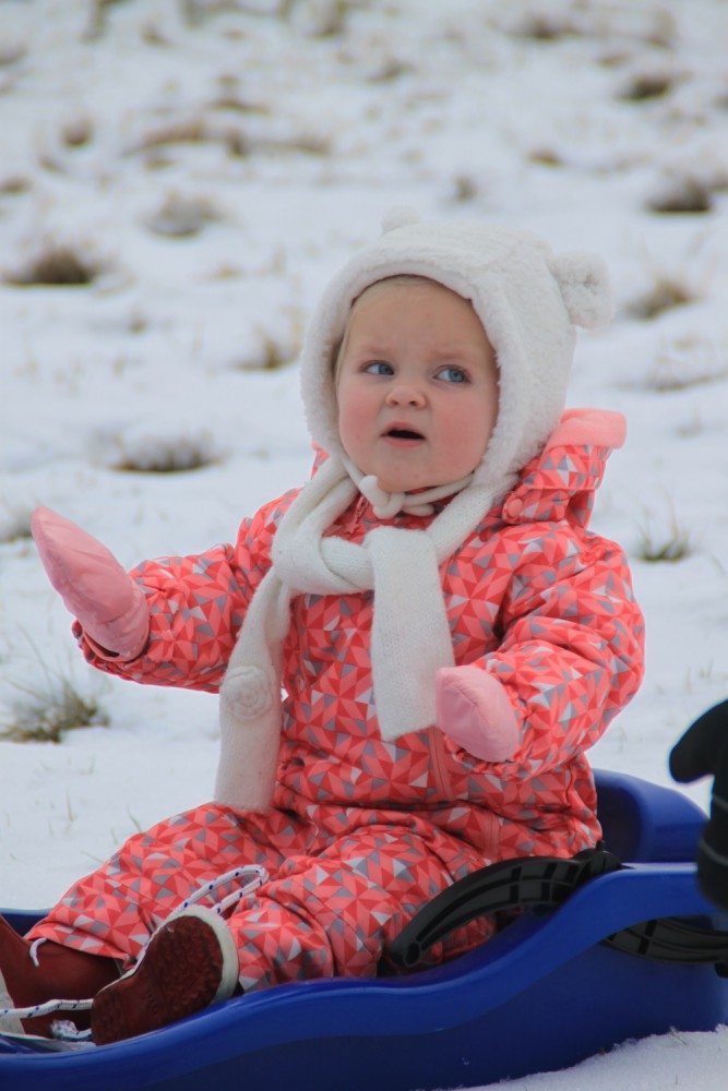 Lotte on the sledge