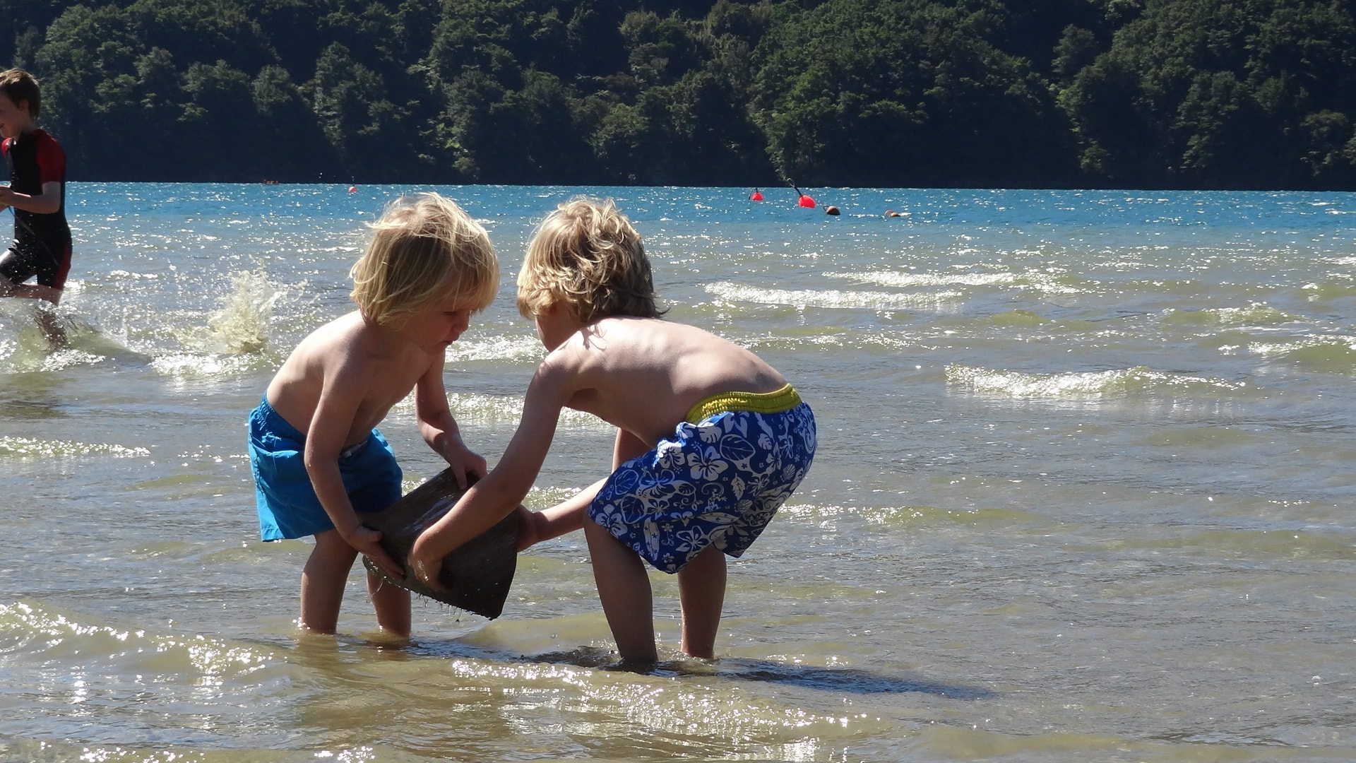 New Zealand with kids