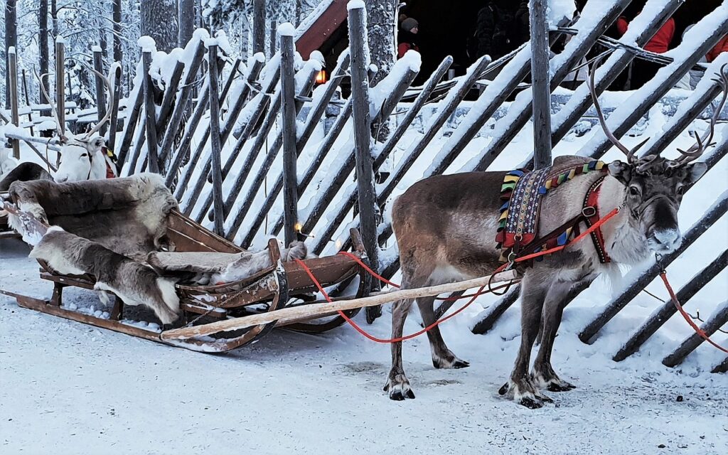 Kids Love Travel: Lapland