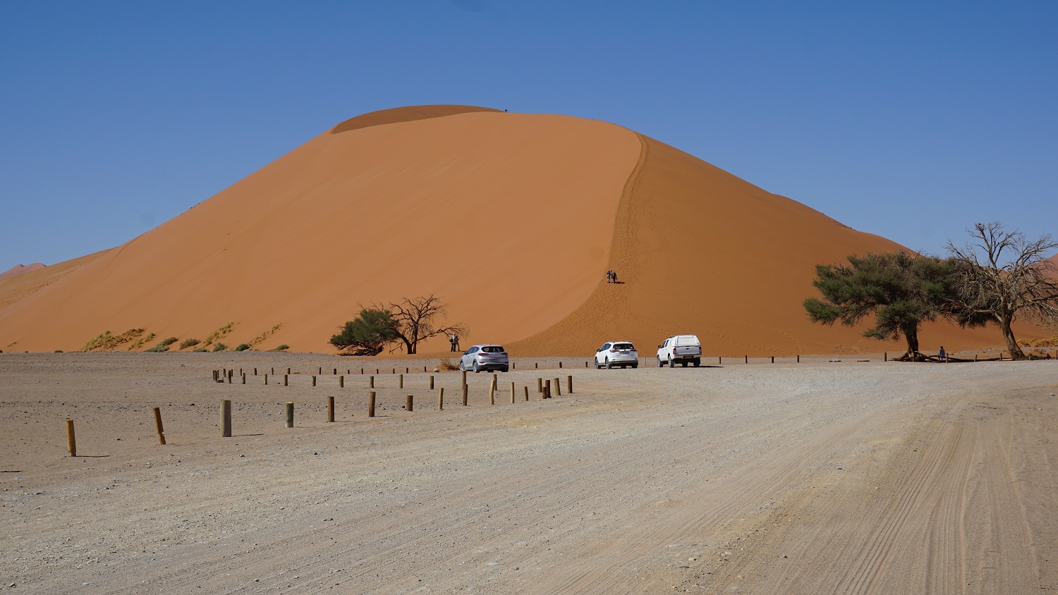 Kids Love Travel: Namibia with kids 