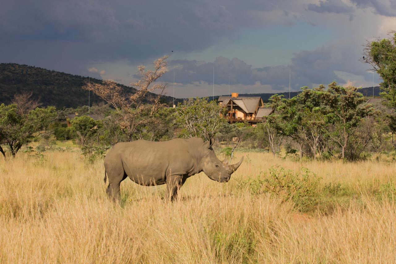 Kids Love Travel: child friendly hotels in South Africa