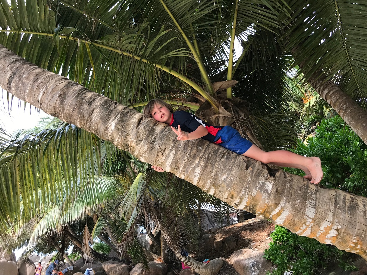 Kids Love Travel 10 dagen Seychellen met kinderen