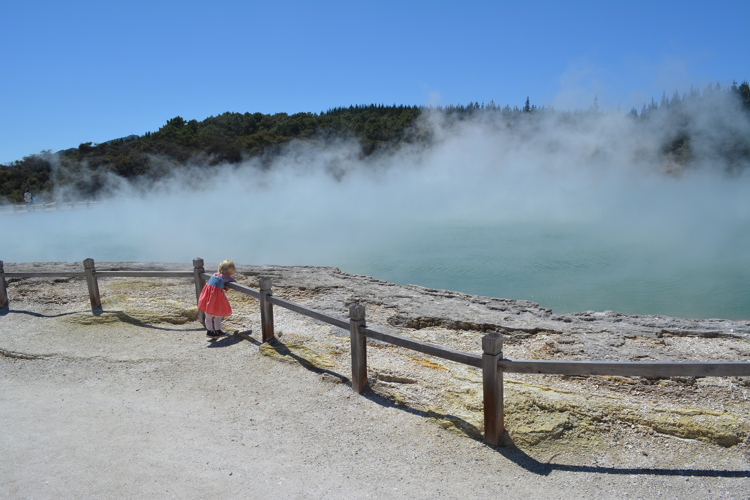 Kids Love Travel: travelling through new zealand for 7 weeks