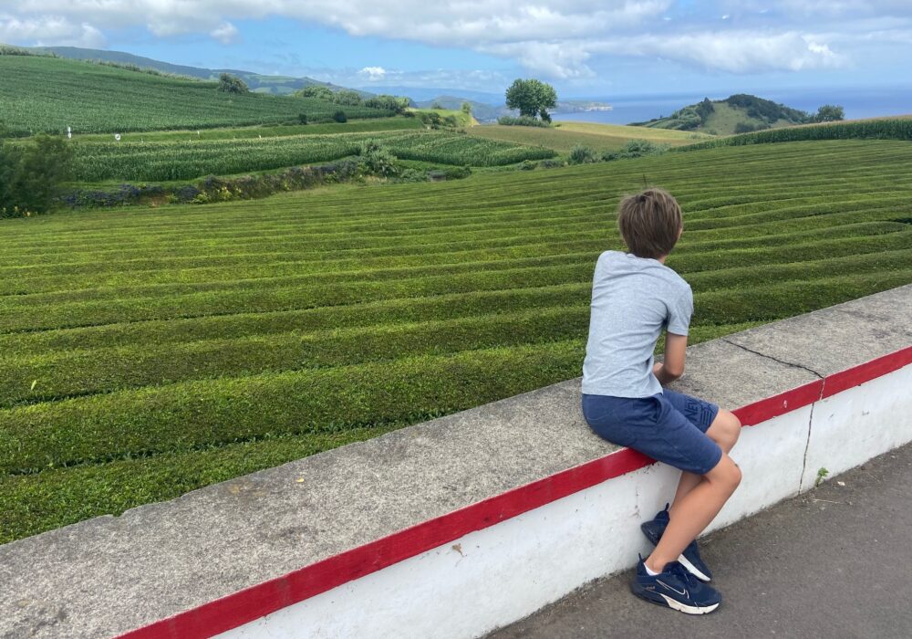 KIds Love Travel: Azoren met kinderen