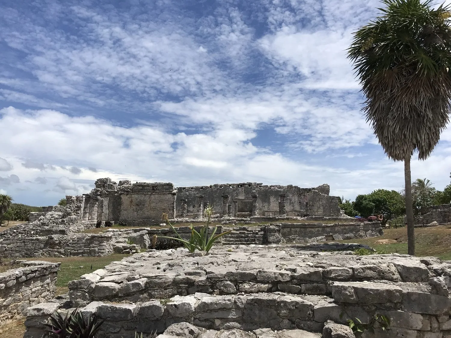 Description for image 23766